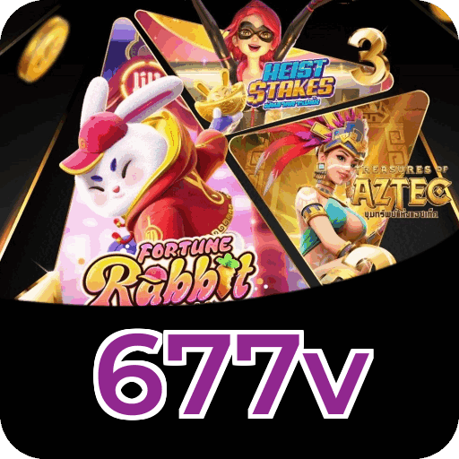 Níveis do programa VIP da 677v